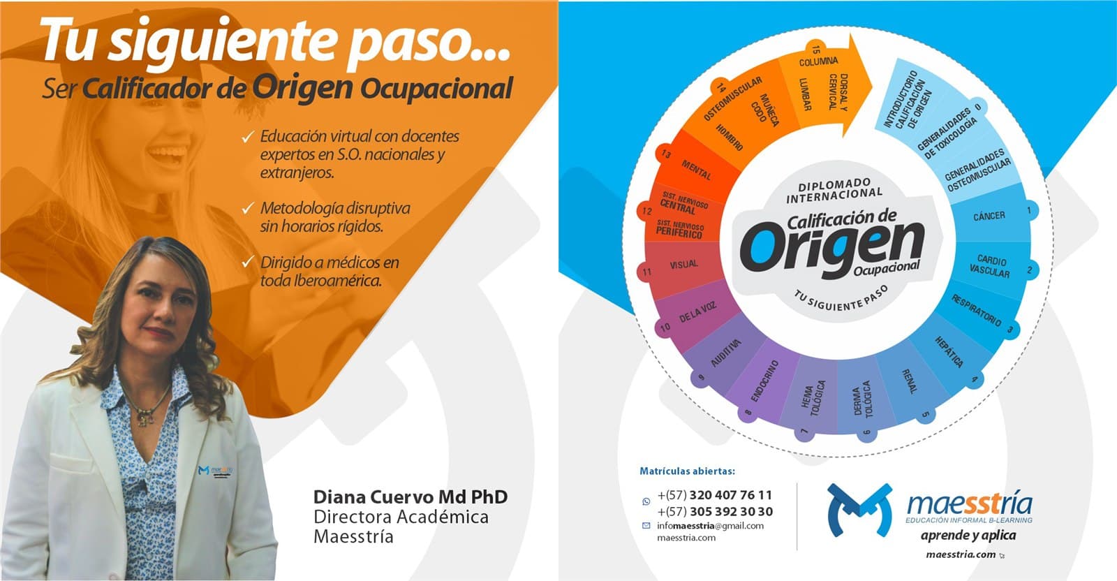 Maesstria y calificacion de origen